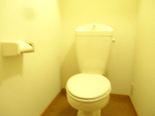 Other room space. It is a flush toilet