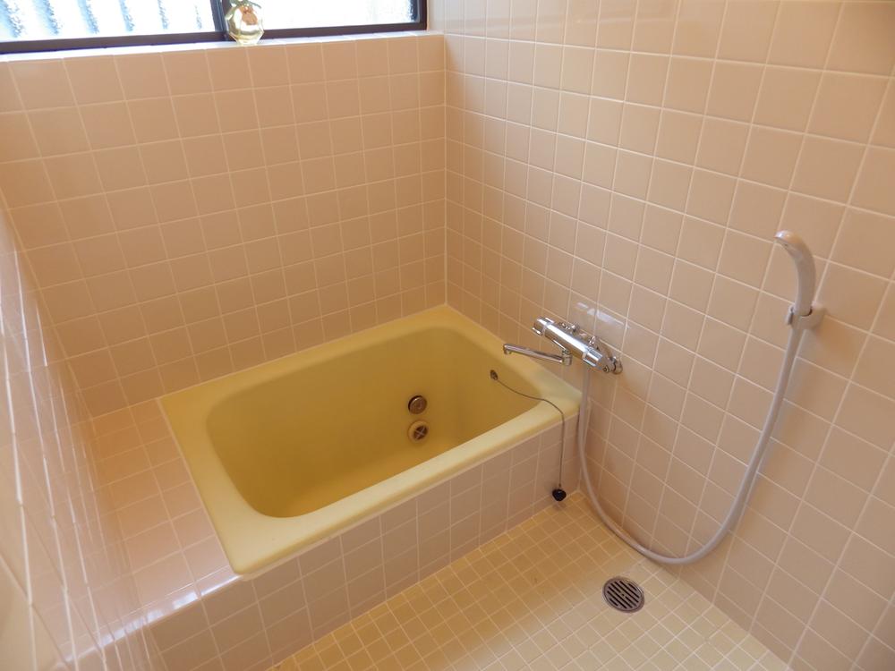 Bathroom. Indoor (10 May 2013) Shooting