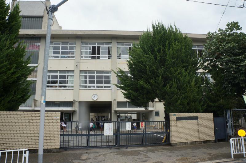 Primary school. Umi Municipal Umi to elementary school 550m
