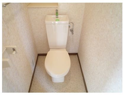 Toilet. Toilet is also safe in the clean!