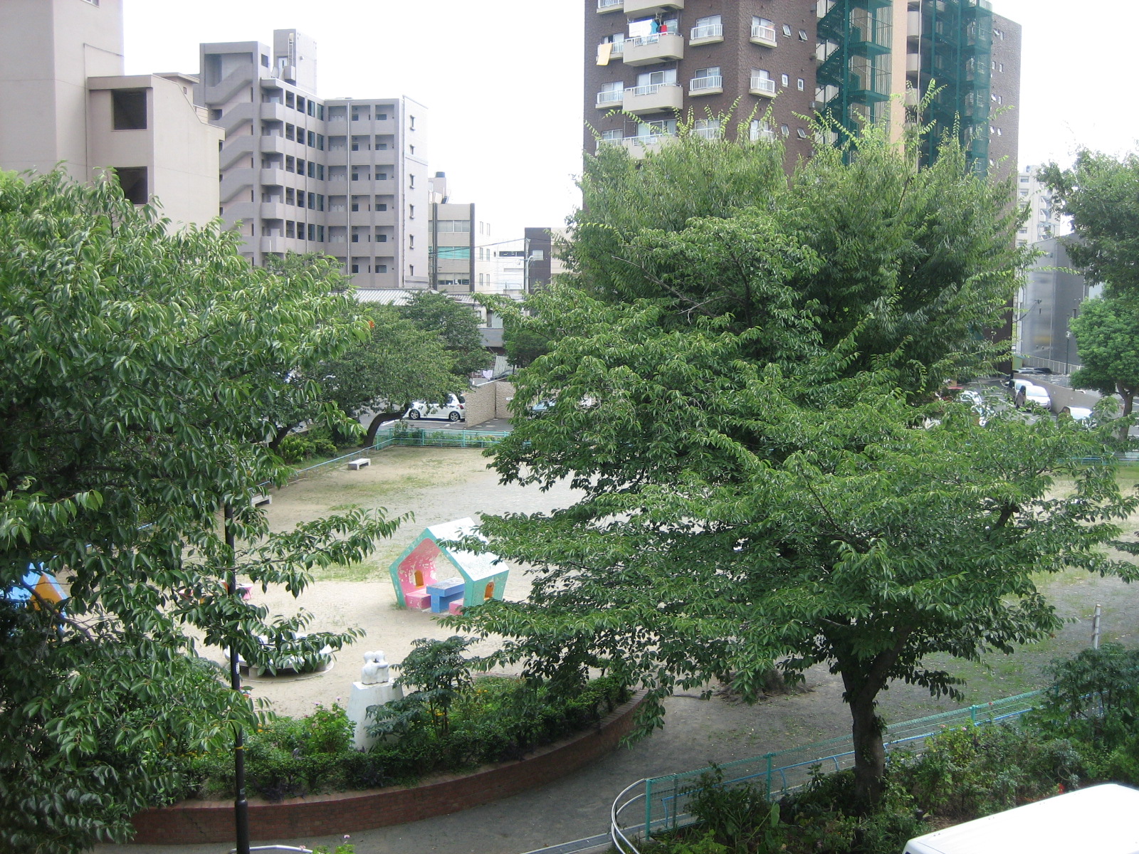 View. Views of the park from the veranda. Cherry blossoms in spring is beautiful. 