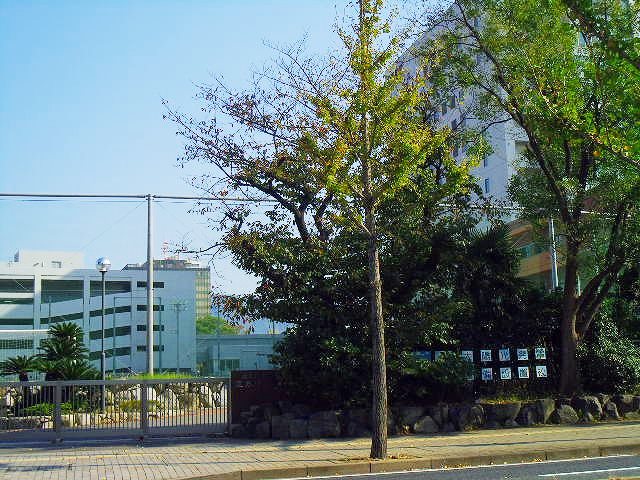 Junior high school. 1248m to Kitakyushu 思永 junior high school (junior high school)
