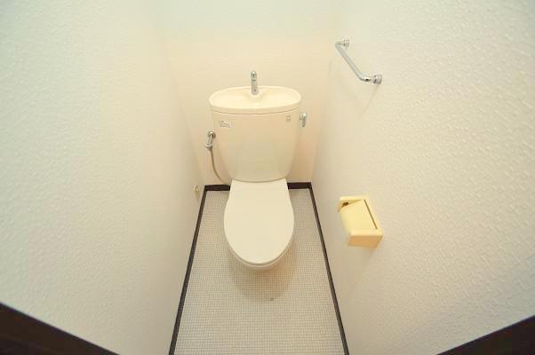 Toilet. Furnished lighting of ethnic coordination!