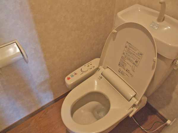 Toilet. Toilets comfortable with warm water washing toilet seat! ! 