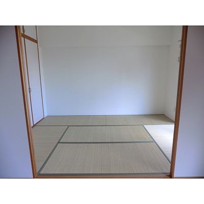 Other room space. Japanese style room