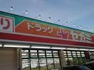 Drug store. Drag Segami Tomino to the store 1706m