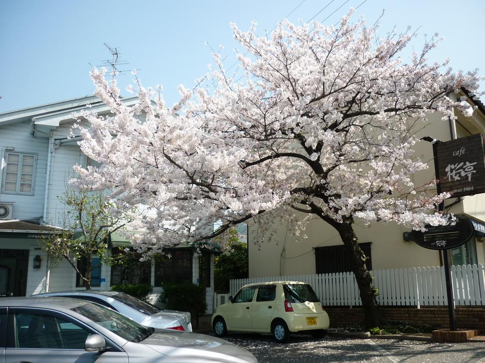 Other Environmental Photo. Cafe Sakuratei until 560m coffee of delicious shops There at the foot of the mountain Adachi, In the spring it is full of fragrance of cherry blossoms. . .