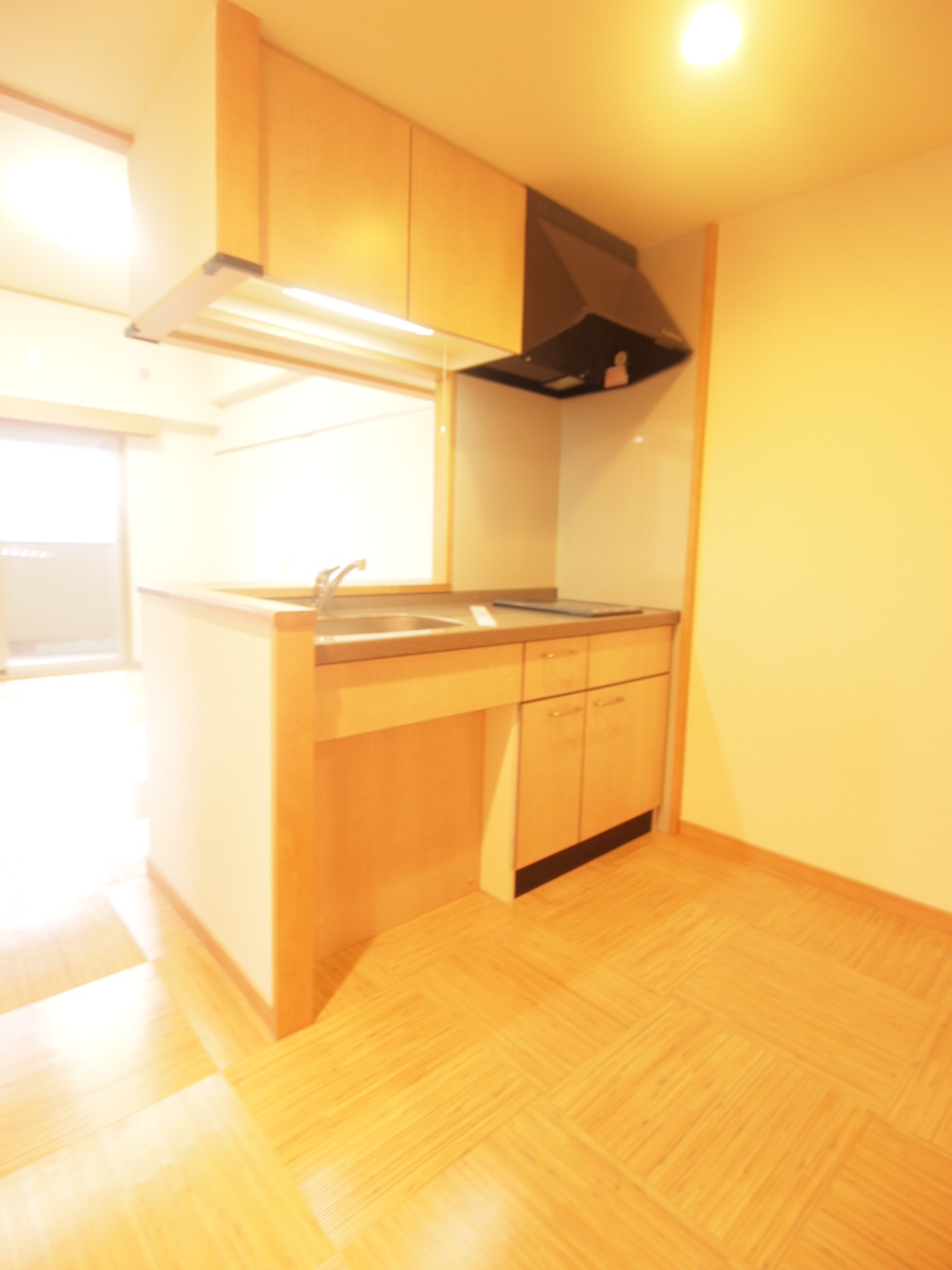 Kitchen. Storage of large kitchen is very convenient ☆
