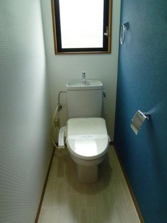 Toilet. Indoor (12 May 2013) Shooting