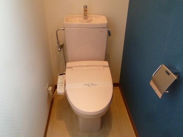 Toilet. Indoor (12 May 2013) Shooting