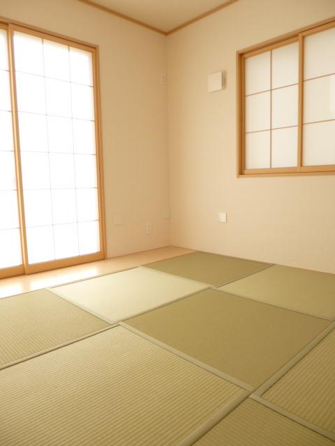 Other introspection. Japanese style room