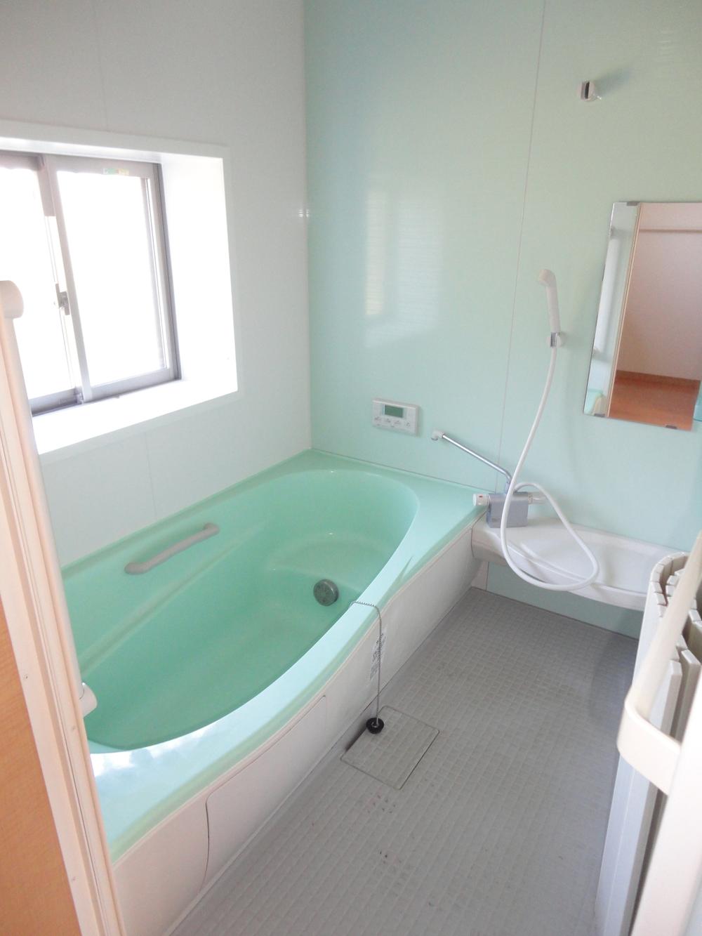 Bathroom. Indoor (January 2012) shooting