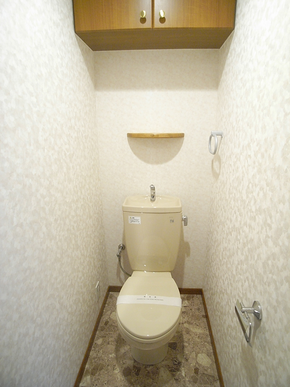 Toilet. There is also housed in the toilet Probably apartment fine attention has been?