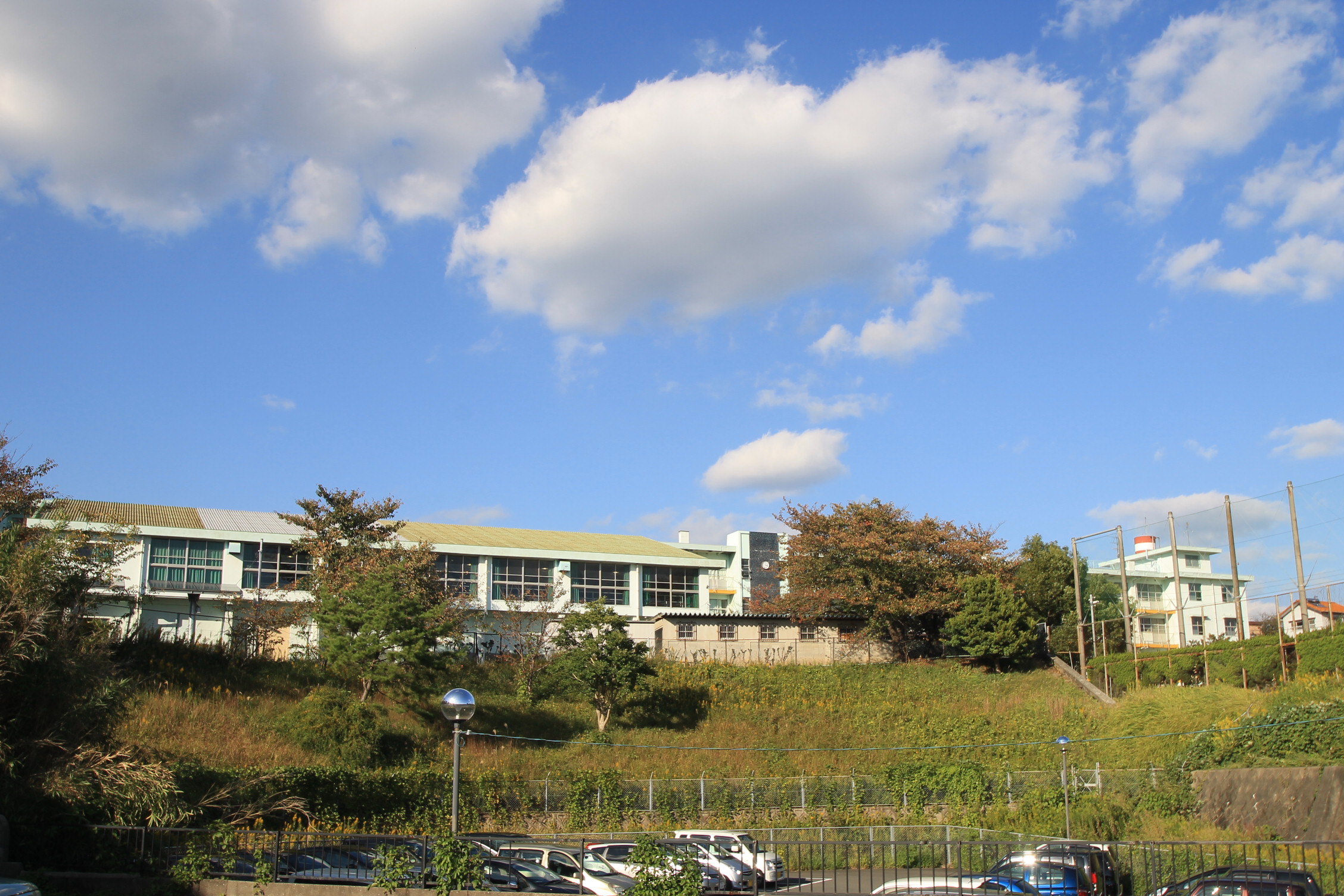 Junior high school. 1566m to Kitakyushu marsh junior high school (junior high school)