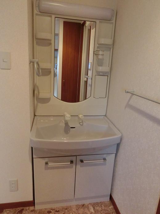 Washroom. Shampoo dresser