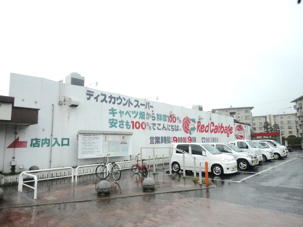 Supermarket. Red cabbage Tokuriki store up to (super) 366m