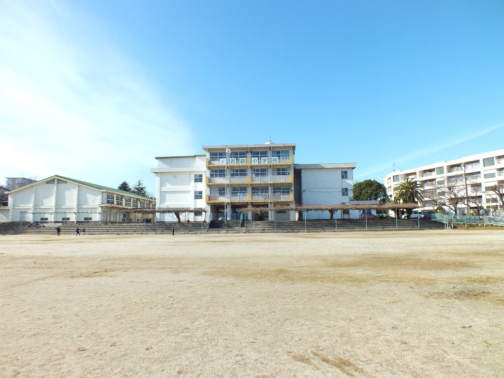 Primary school. Wakazono up to elementary school (elementary school) 128m