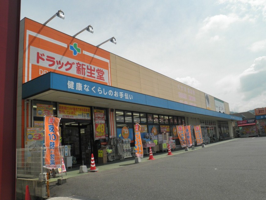 Dorakkusutoa. Shinseido pharmacy Yokodai shop 520m until (drugstore)