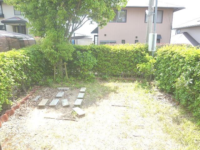 Garden. Local (May 2012) shooting