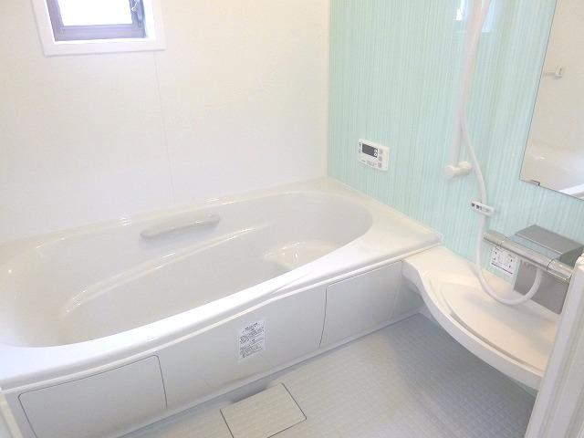 Bathroom. Indoor (June 2012) shooting