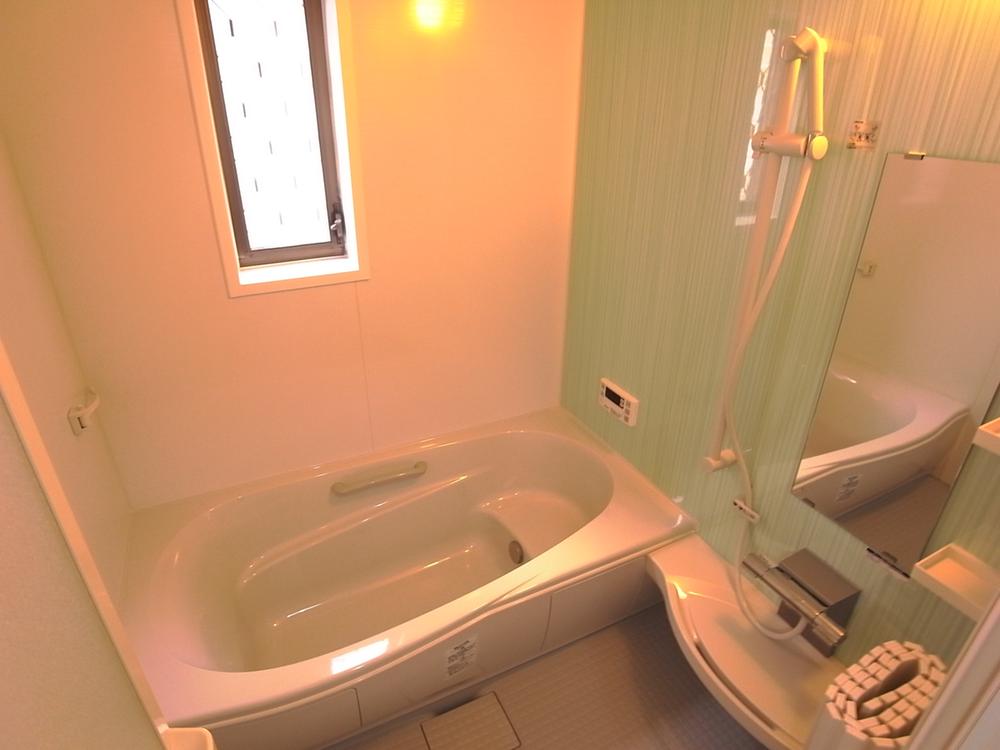 Bathroom. Local (July 2012) shooting