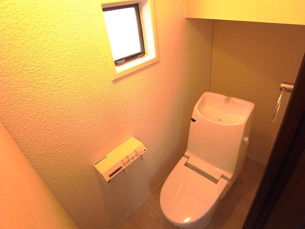 Toilet. Local (July 2012) shooting