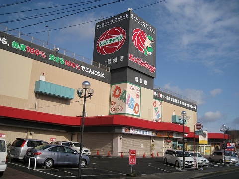 Shopping centre. 700m to Red cabbage Sone store (shopping center)