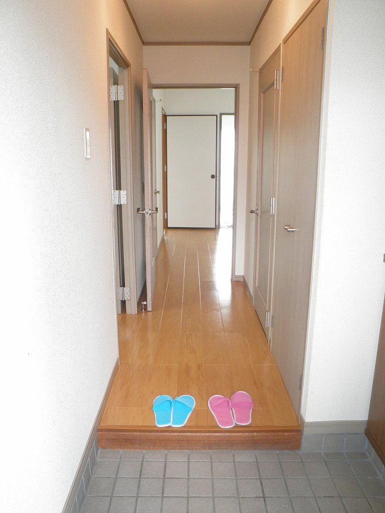 Entrance. Other room