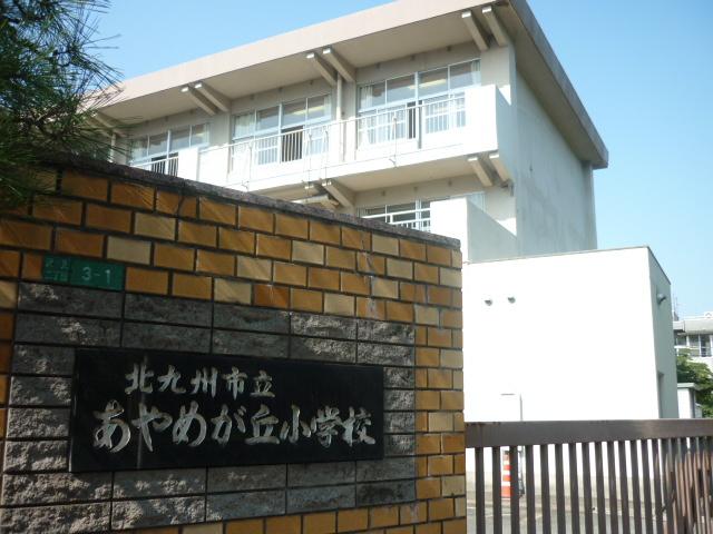 Other. Oyame is a 6-minute walk from the hill elementary school