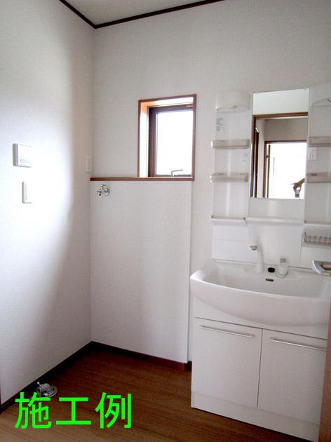 Wash basin, toilet. Vanity with shower