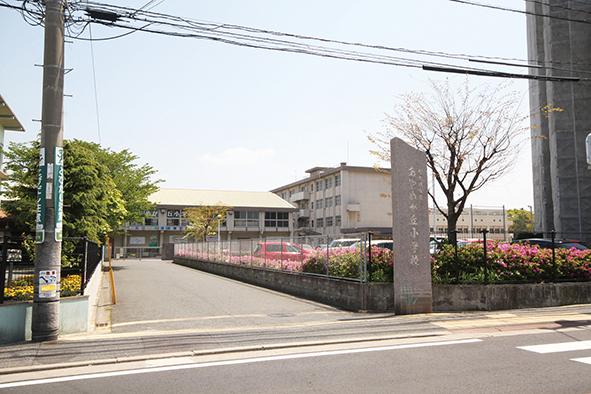 Primary school. 300m Ayame until the hill elementary school