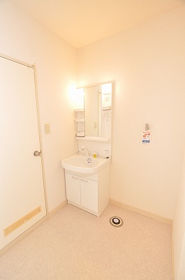Washroom. Shower vanity and washing machine inside the room