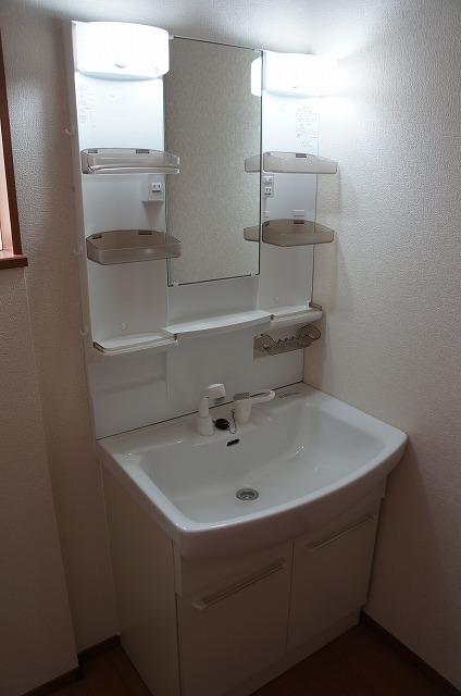 Wash basin, toilet. Vanity with shower