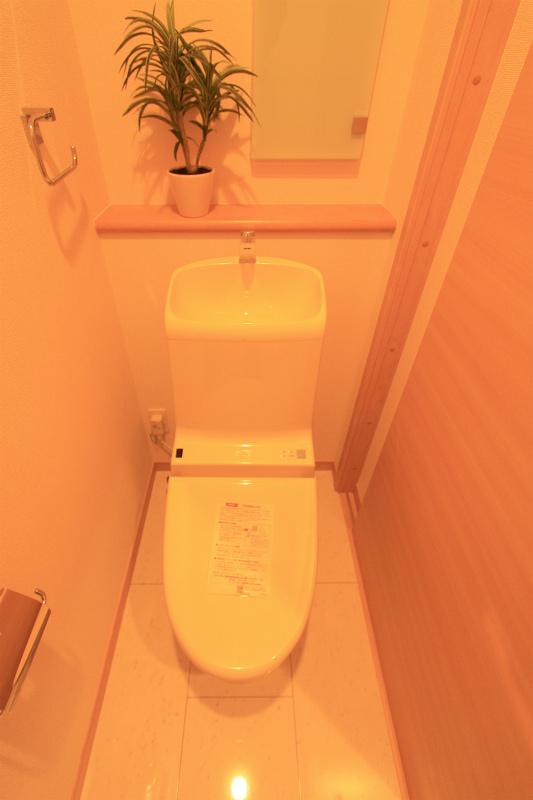 Toilet. 2013 November 20, shooting
