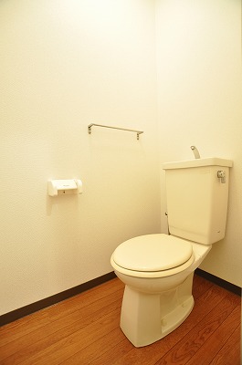 Toilet. Western style room