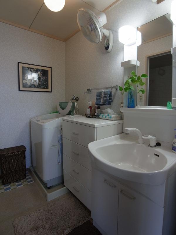 Wash basin, toilet. Indoor (06 May 2013) Shooting