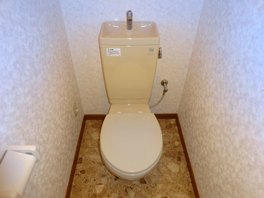 Toilet