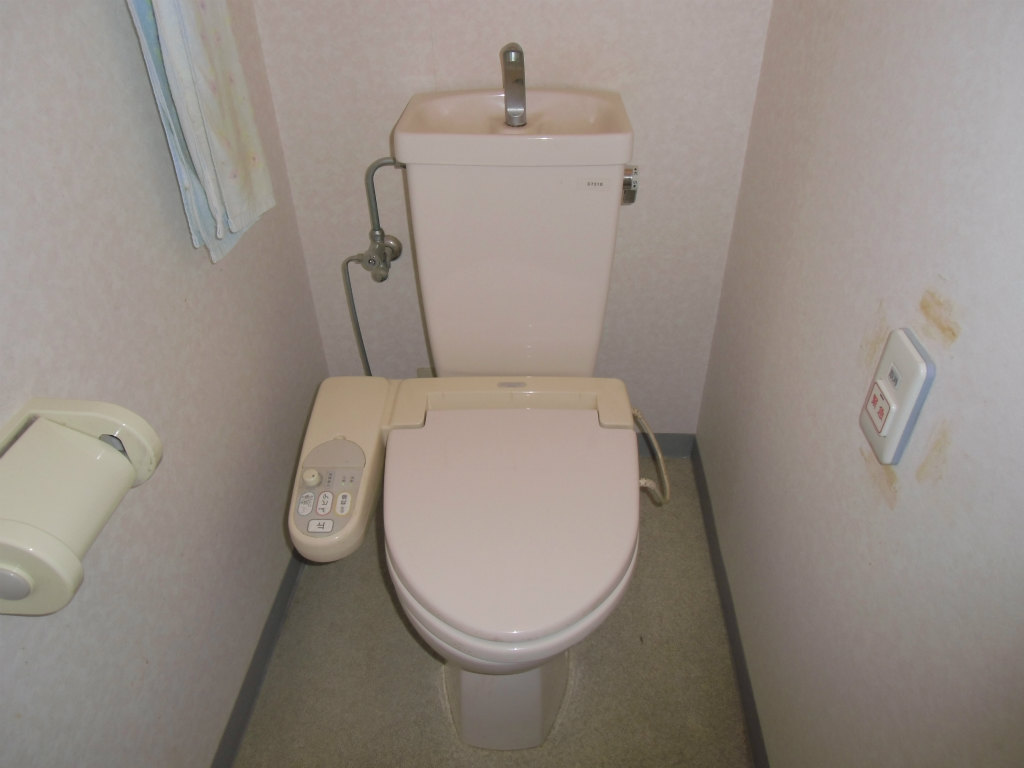 Toilet