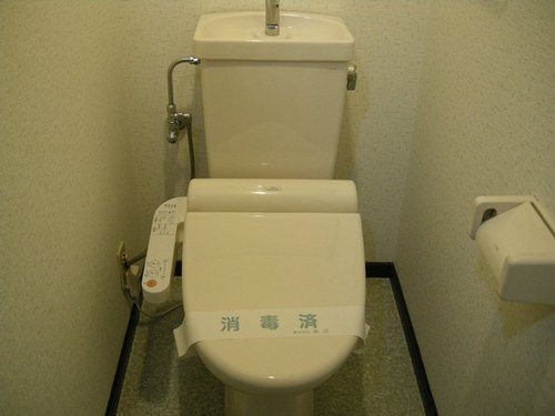 Toilet. Toilet (hot water cleaning function toilet seat)