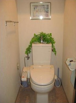 Toilet