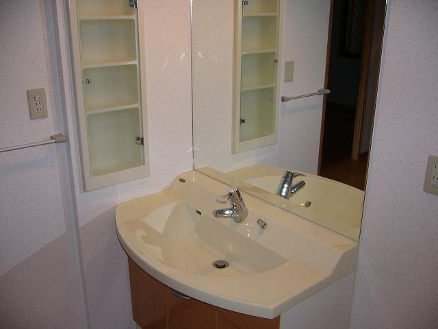 Wash basin, toilet. Bathroom Vanity!