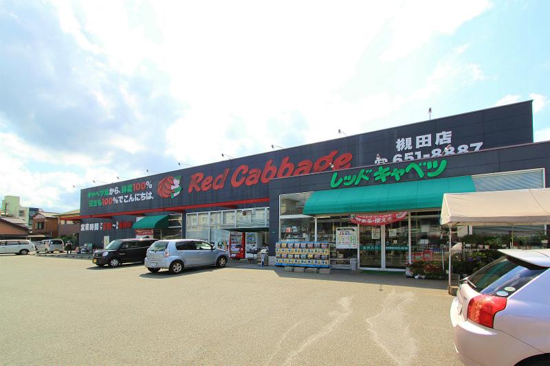 Supermarket. 202m to Red cabbage Tsukita shop