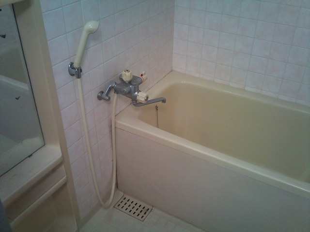 Bath. Spacious bathroom (same specifications)