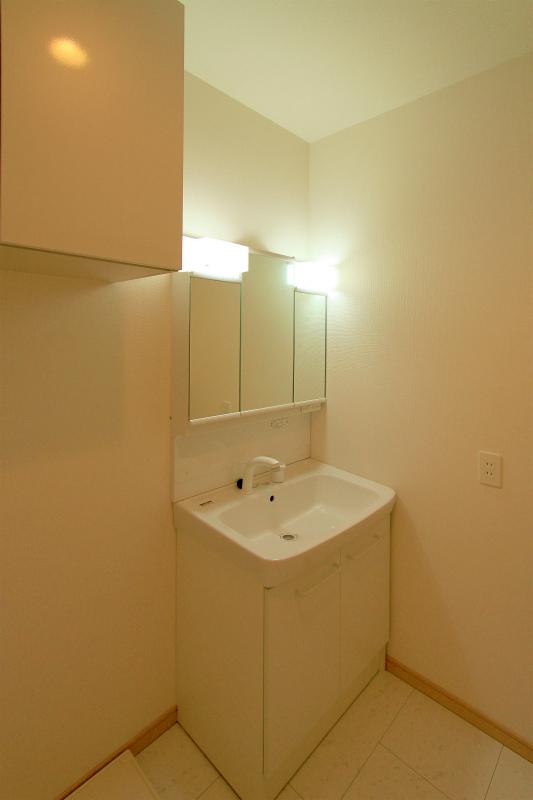 Wash basin, toilet. 2013 December 5 shooting