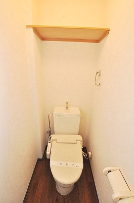 Toilet. Convenient to care what is the top shelf