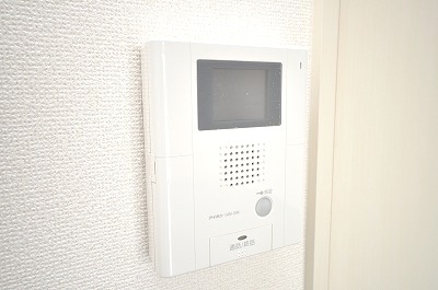 Security. Monitor with intercom