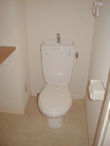 Toilet