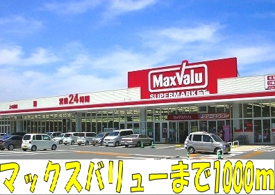 Supermarket. 1000m to Maxvalu (super)