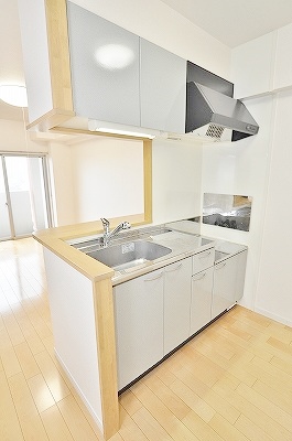 Kitchen. Gas stove can be installed with grill.