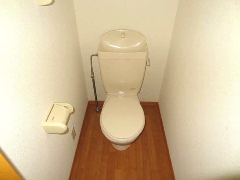 Living and room. Toilet